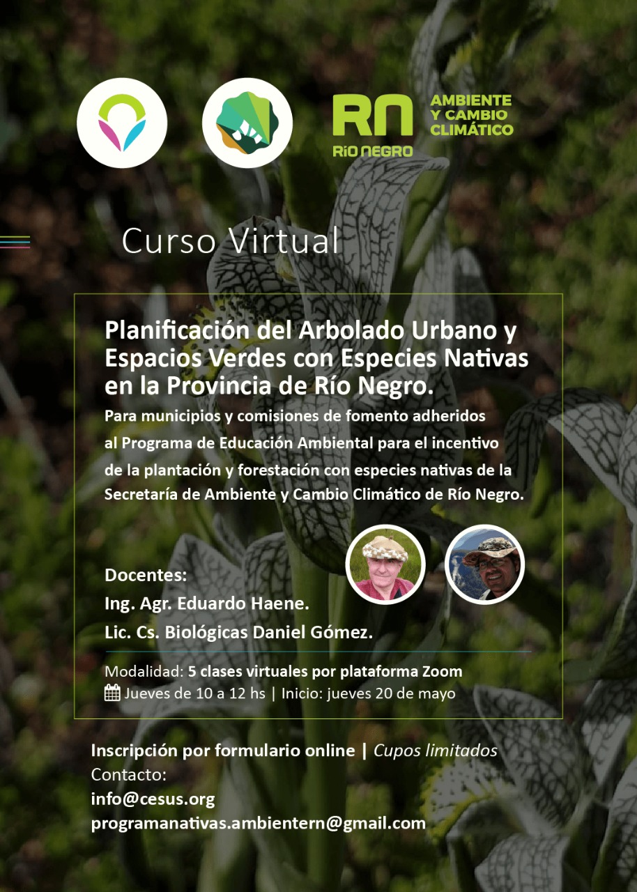 Arbolado  Río Negro